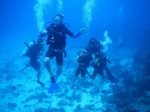 One of the best places in the world to SCUBA dive